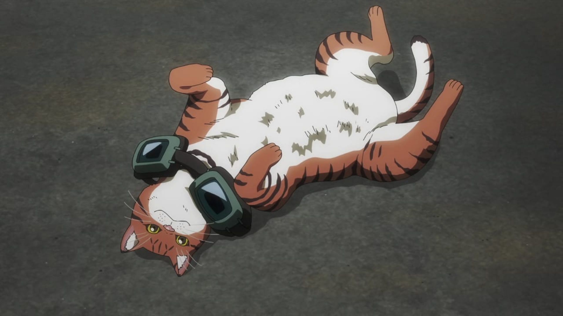 Tanishi as a cat (Image via OLM Studios)